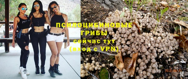 бутират Алзамай