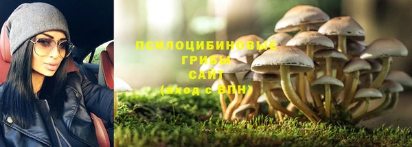 гидра Абдулино
